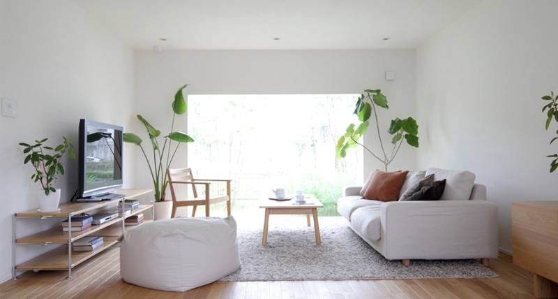 Растения в интерьере гостиной в стиле минимализм